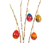 Pappeier mit Aufhänger 3