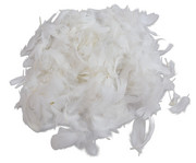 Bastelfedern weiss 1