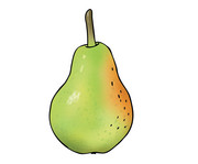 Vocabular Wortschatzbilder: Obst Gemüse Lebensmittel 4