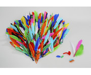 Bunte Federmischung 3