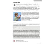 Betzold Handreichung Körper Set 2