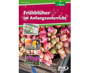 Frühblüher im Anfangsunterricht 1