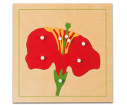 Nienhuis Botanisches Puzzle 1