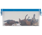Betzold Tiere zuordnen 3
