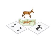 Betzold Tiere zuordnen 5