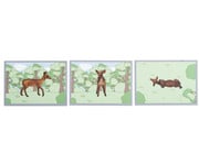 Betzold Tiere zuordnen 7