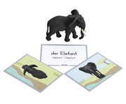 Betzold Tiere zuordnen 5