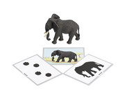 Betzold Tiere zuordnen 6