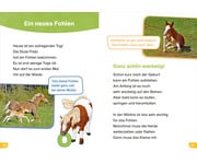 WAS IST WAS Erstes Lesen easy! 4