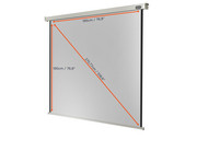 Motorleinwand Professional 4
