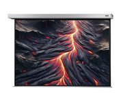 Motorleinwand Professional Plus 7