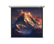 Leinwand Professional 5