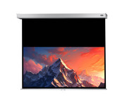 Leinwand Professional Plus 5
