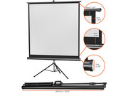 Stativleinwand Economy 3