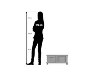 Flexeo® Fahrbares Containersystem mit Ablage 4 grosse Boxen 2