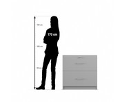 Flexeo® Schrank 2 grosse Schubladen = 2 Ordnerhöhen 5