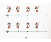 Djembe lernen 5