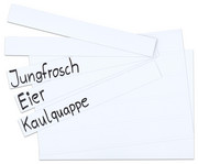 Betzold magnetische Tafelschilder zum Beschriften 5