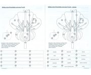 Betzold Tafelmaterial Von der Kirschblüte bis zur Frucht 6