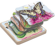 beleduc Lagenpuzzle Schmetterling 2