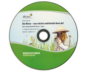 Lernwerkstatt: Die Wiese was wächst und kriecht denn da? 2