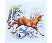 Natur Memo Wald 5