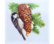 Natur Memo Wald 6