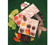 Sortiertablett mit 9 Feldern 3