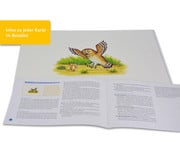 Bilderbuchkarten Der Grüffelo 4