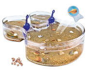 Clementoni Triops Maxi de Luxe 2