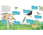 BOOKii Hören und Staunen Heimische Vögel 2