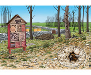 Von fleissigen Bienen und leckerem Honig Kamishibai Bildkartenset 2