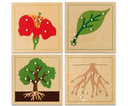 Nienhuis Botanisches Puzzle 2
