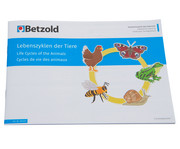 Betzold Lebenszyklus der Tiere magnetisch 4