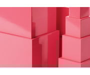Nienhuis Rosa Turm 2
