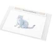 Index Sichttasche DIN A5 quer 10 Stück transparent 6