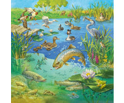 Ravensburger Puzzle Tiere in ihren Lebensräumen 3er Set 3