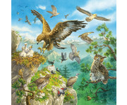 Ravensburger Puzzle Tiere in ihren Lebensräumen 3er Set 4