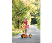 TopTrike Step´n Roll 7