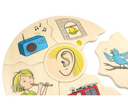beleduc HUMANICO Puzzle 5 Sinne 2