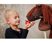 Pferdepflege Set 8 teilig 5