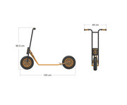 TopTrike Roller Maxi 5