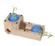 Xyloba Junior 6