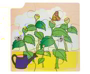 Wachstums Puzzle Sonnenblume 5