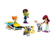 LEGO® Friends Ferien im Iglu 5