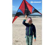 SCHILDKRÖT Flugdrachen Stunt Kite 140 5