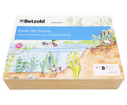Betzold Zonen des Teiches 2