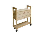 Schul Musikwagen klein 2