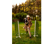 Springparcours Blumenwiese – Hobby Horsing 5
