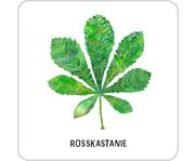 Expedition Natur – Das grosse Bäume und Sträucher Memo 7